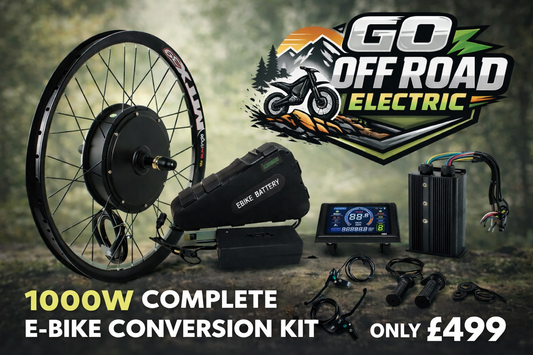 1000W Complete E-Bike Conversion Kit